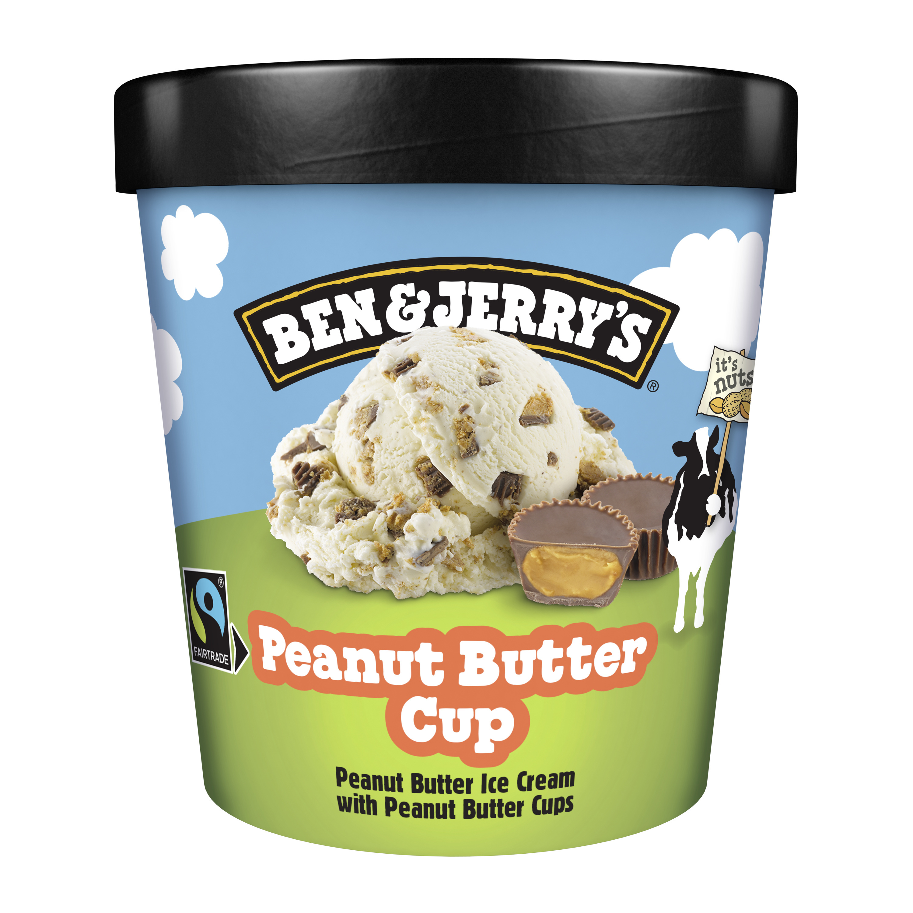 Ben & Jerry's Potted Ice Peanut Butter Cup