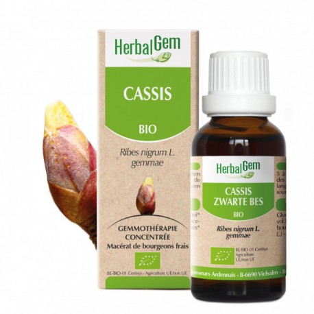Cassis 15ml