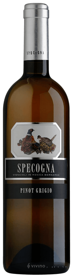Pinot Grigio Fruilli Colli / Specogna - 2021/2022 - 75cl 