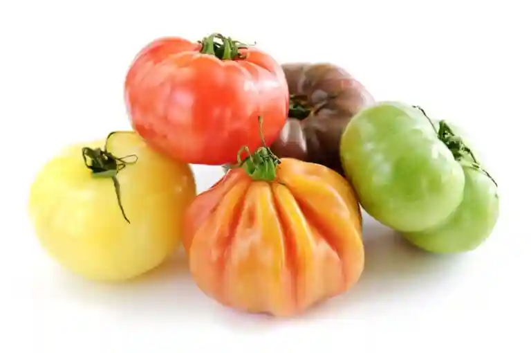 Tomate Ancienne - Kg